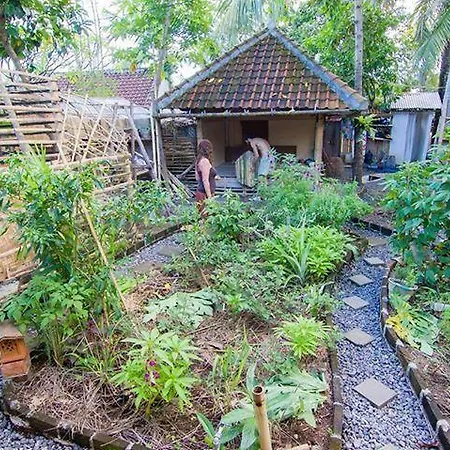 Farmer'S Yard Hostel-3